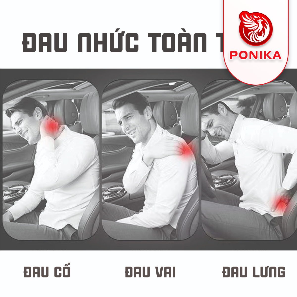 Gối Tựa Lưng Ô Tô Cao Su Non