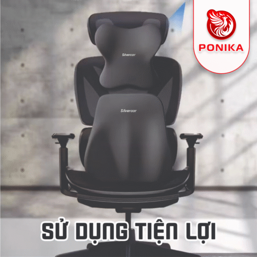 Gối Tựa Lưng Ô Tô Cao Su Non